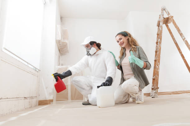 Best Air Quality Testing for Mold Spores  in North Scituate, MA